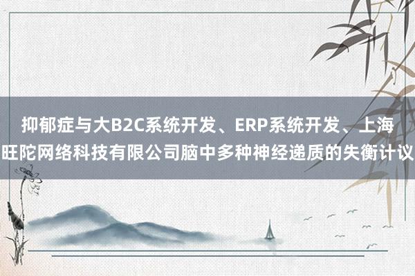 抑郁症与大B2C系统开发、ERP系统开发、上海旺陀网络科技有限公司脑中多种神经递质的失衡计议