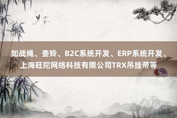 如战绳、壶铃、B2C系统开发、ERP系统开发、上海旺陀网络科技有限公司TRX吊挂带等