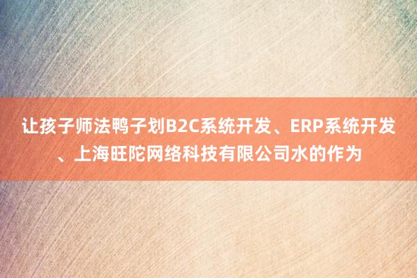 让孩子师法鸭子划B2C系统开发、ERP系统开发、上海旺陀网络科技有限公司水的作为