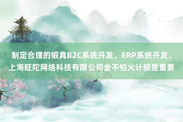 制定合理的锻真B2C系统开发、ERP系统开发、上海旺陀网络科技有限公司金不怕火计较是重要